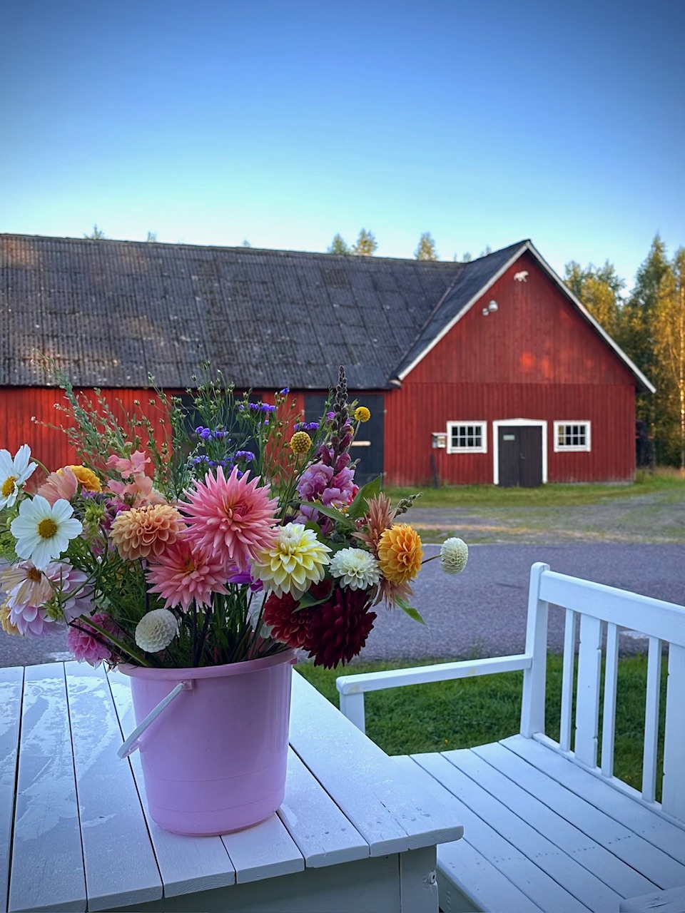 självplock_snittblommor_vislanda